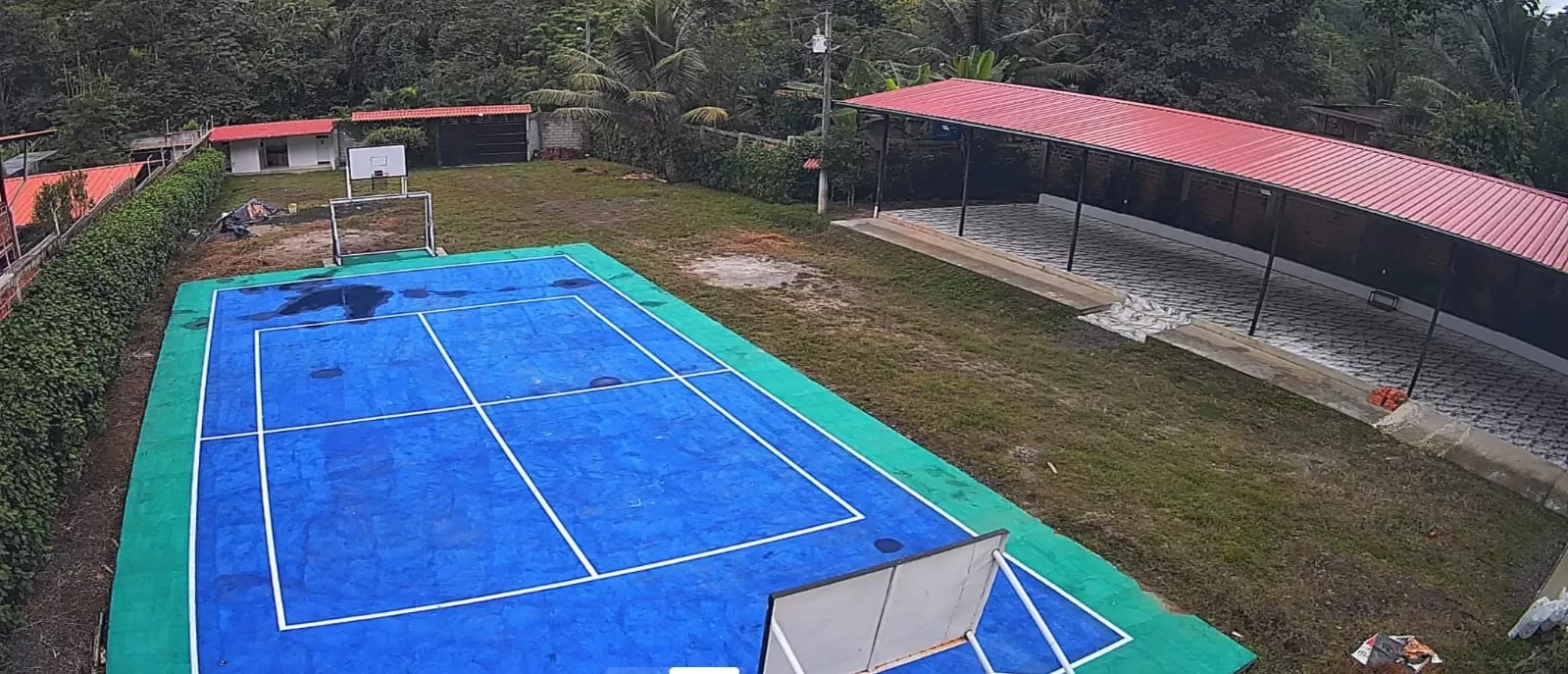 Quinta Serpiente de Oro